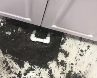 定兴查漏水哪家好