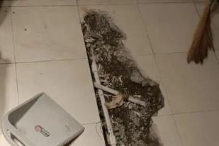 定兴卫生间漏水检测电话